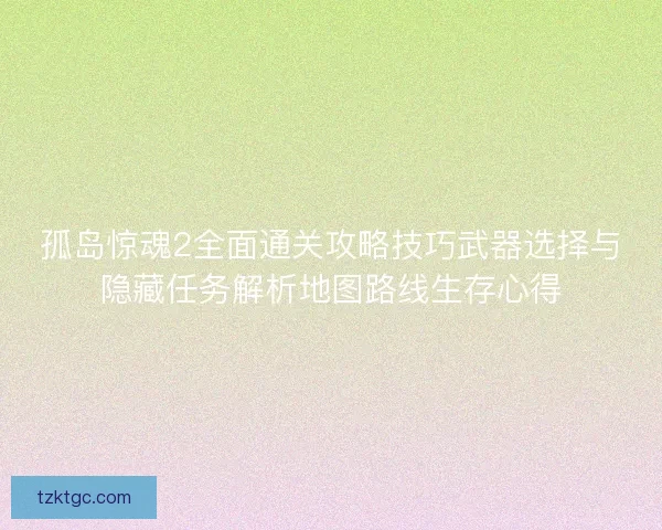 孤岛惊魂2全面通关攻略技巧武器选择与隐藏任务解析地图路线生存心得