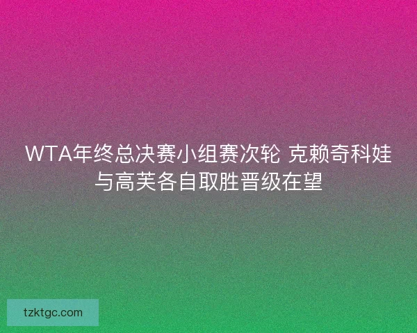 WTA年终总决赛小组赛次轮 克赖奇科娃与高芙各自取胜晋级在望