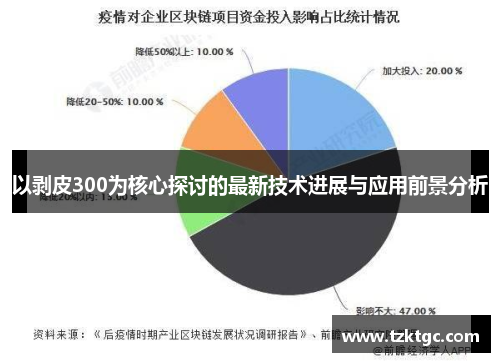 以剥皮300为核心探讨的最新技术进展与应用前景分析