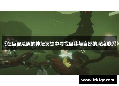 《在巨兽荒原的神坛冥想中寻找自我与自然的深度联系》
